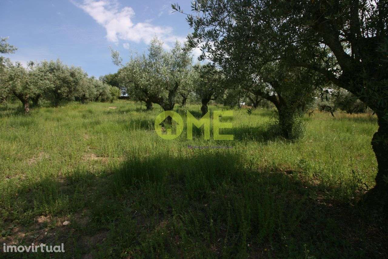 Terreno com 2880m2 - Grande imagem: 2/6