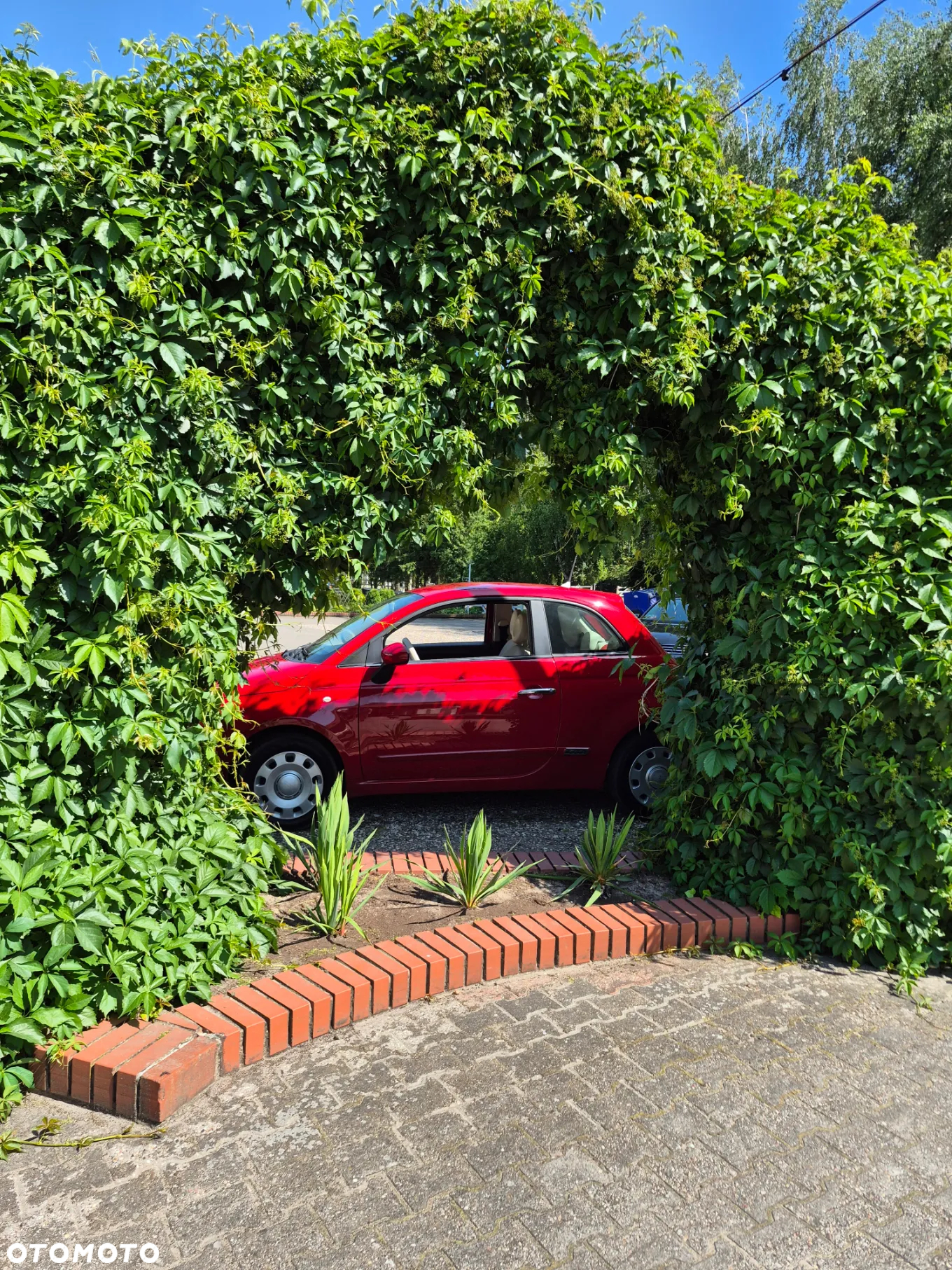 Fiat 500 1.2 8V Pop - 8