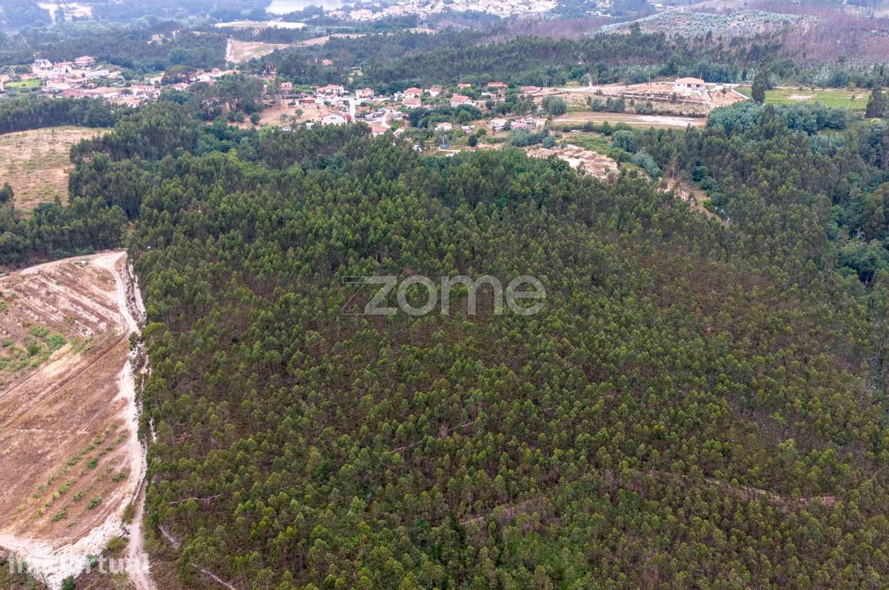 Terreno florestal urbanizável com 45.200 m2 - Melres, Gondomar - Grande imagem: 4/9