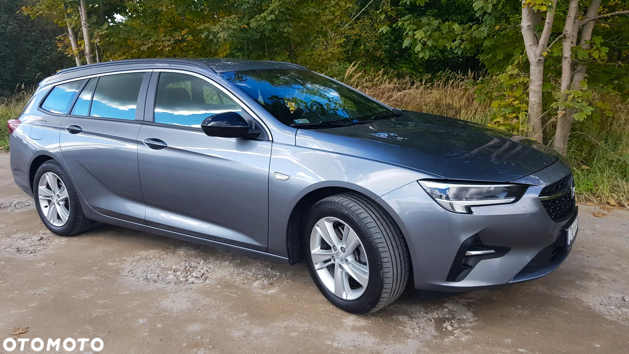 Opel Insignia 2.0 CDTI Business Edition S&S - 15