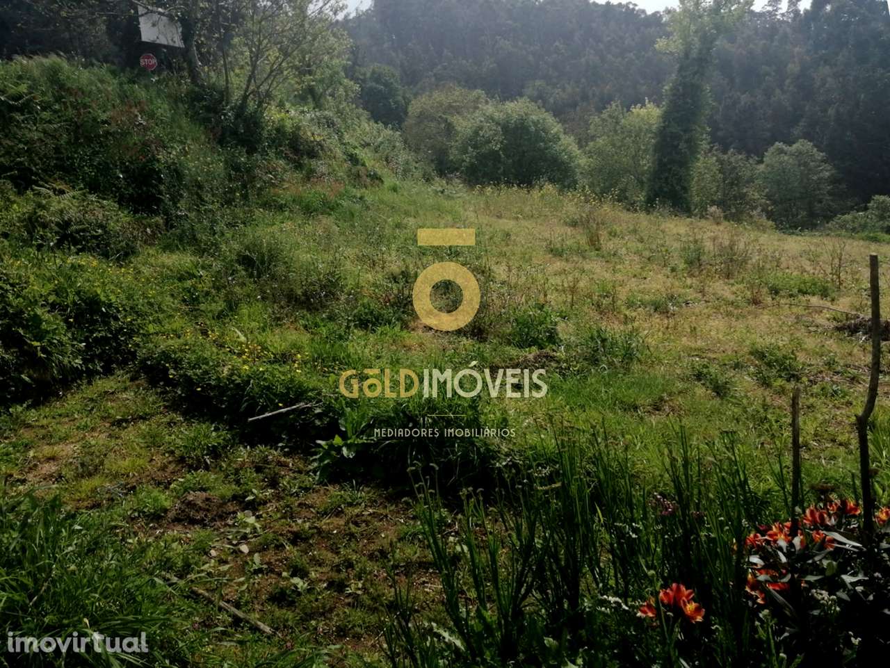 Terreno  Venda em Chave,Arouca - Grande imagem: 2/6