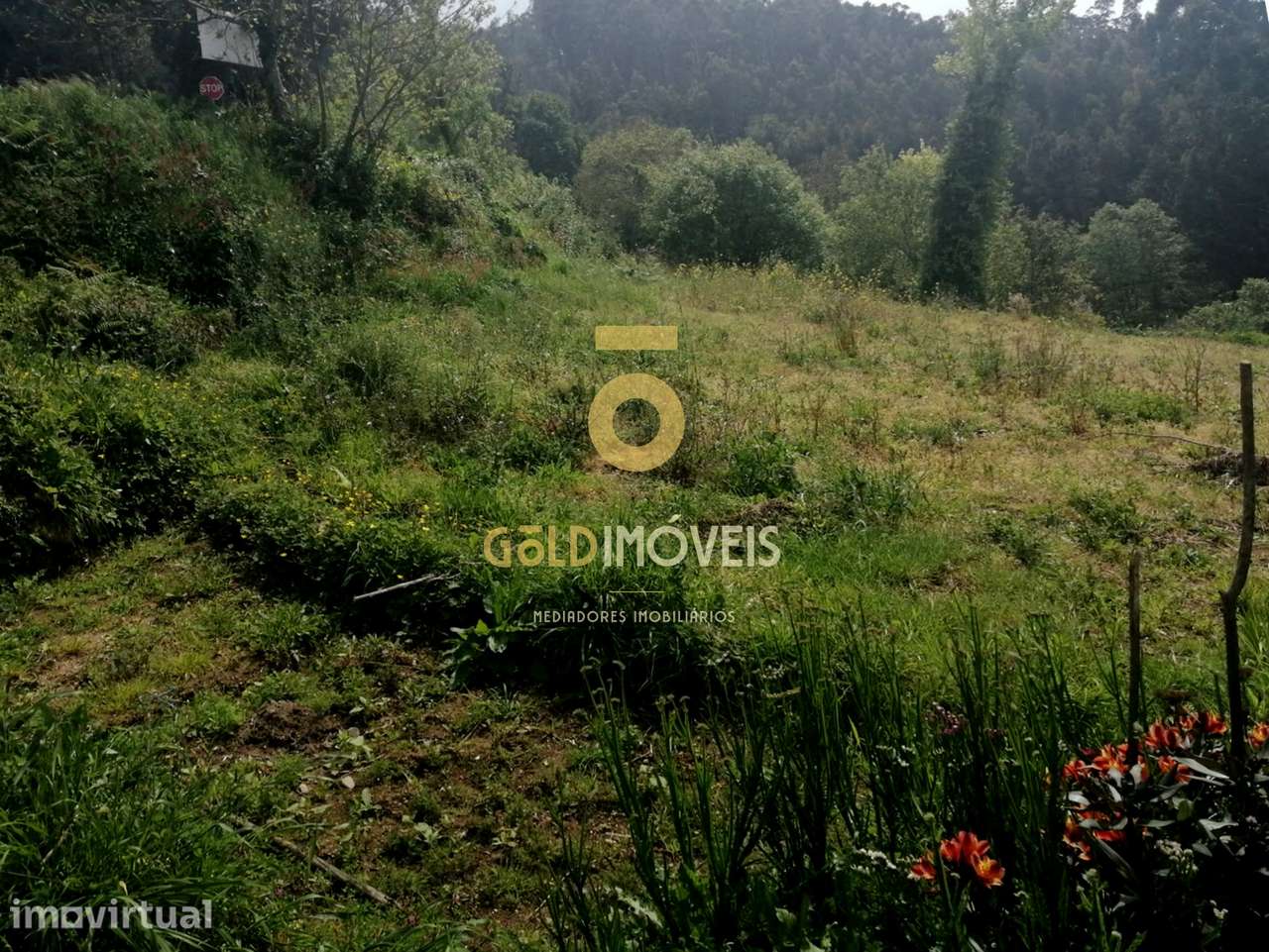 Terreno  Venda em Chave,Arouca - Grande imagem: 2/6