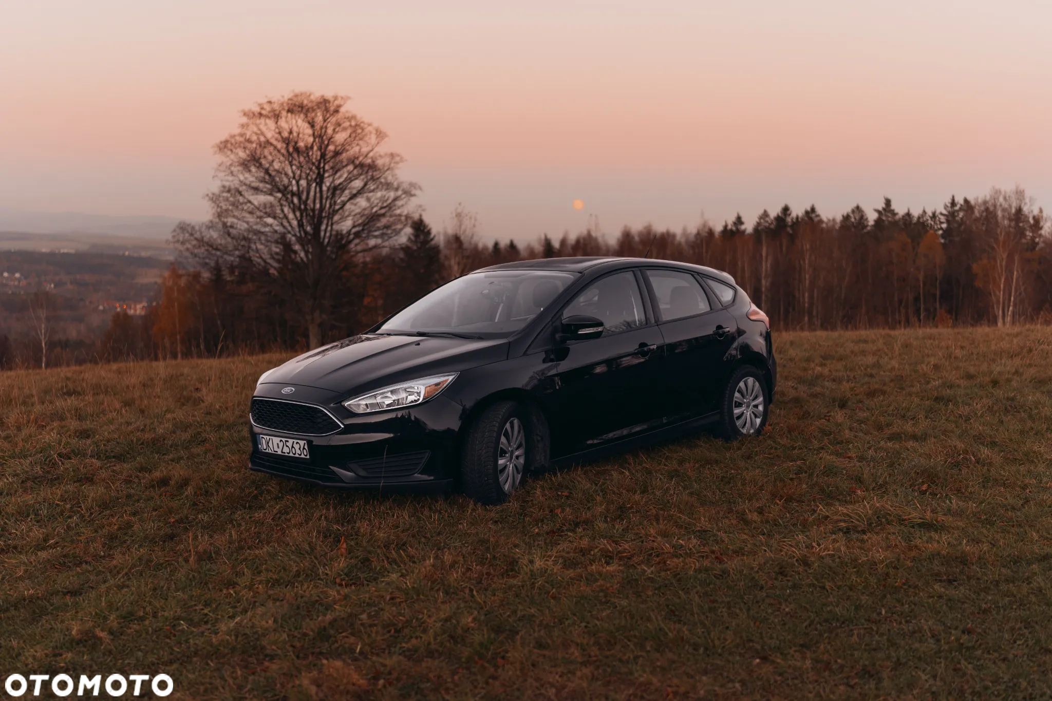 Ford Focus - 31