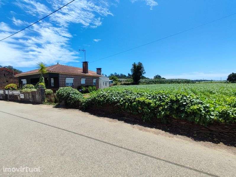 Terreno Loureiro 2100m2 - Grande imagem: 4/4