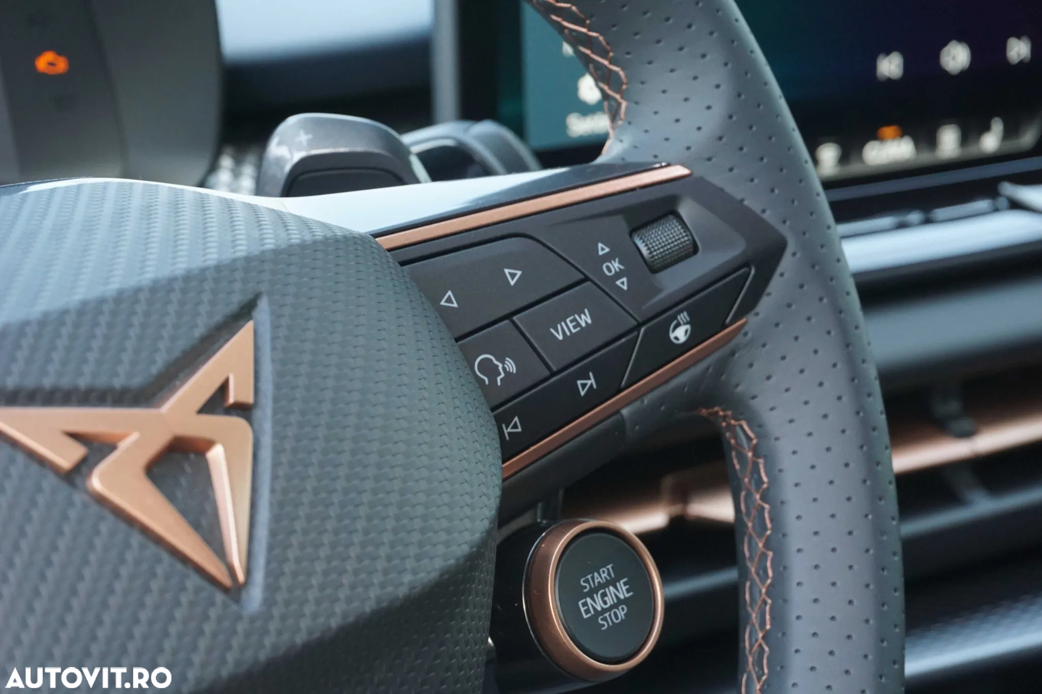 Cupra Terramar - 16