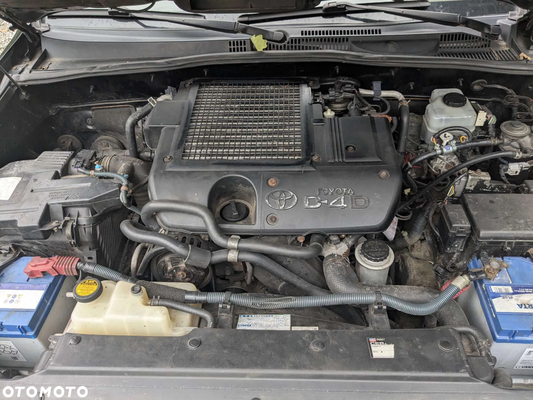 Toyota Land Cruiser - 10
