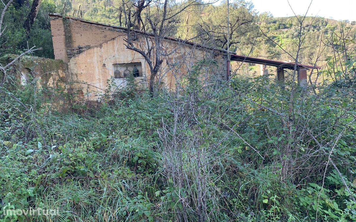 Quintinha Foz da Maceira - Grande imagem: 4/20