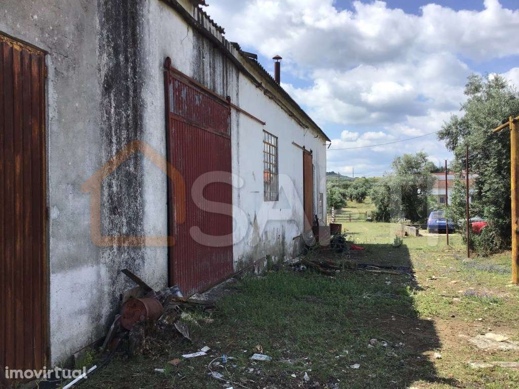 Terreno de 7.650m2 com lagar, inserido na Zona construível de Abrantes - Grande imagem: 4/17