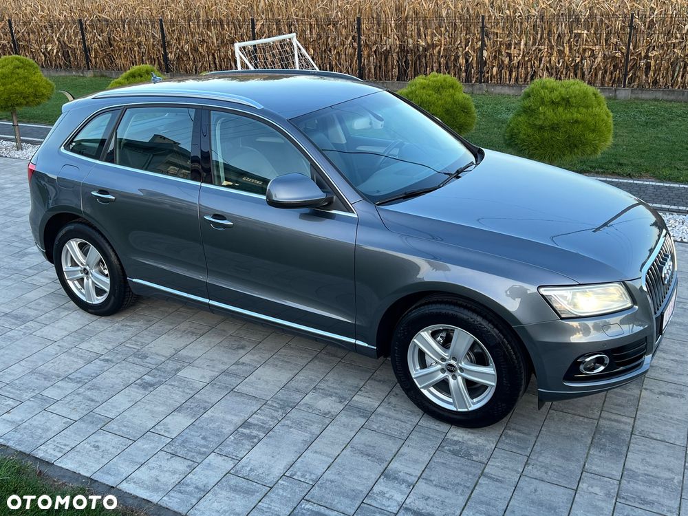 Audi Q5 - 18