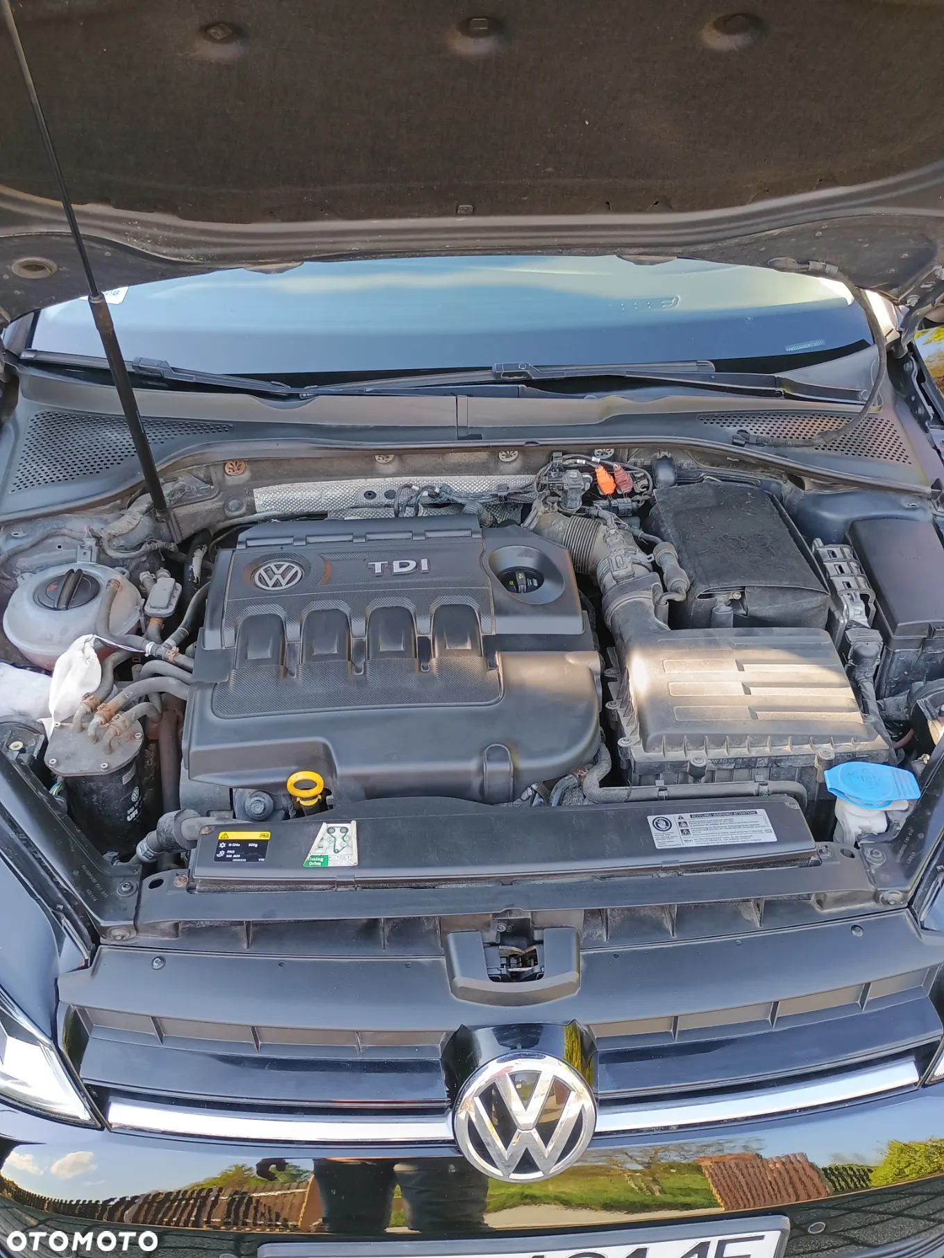 Volkswagen Golf VII 1.6 TDI BMT Comfortline - 19