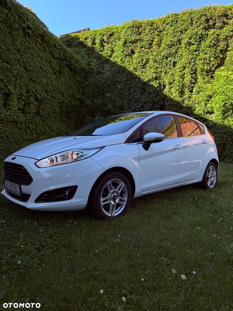 Ford Fiesta - 1