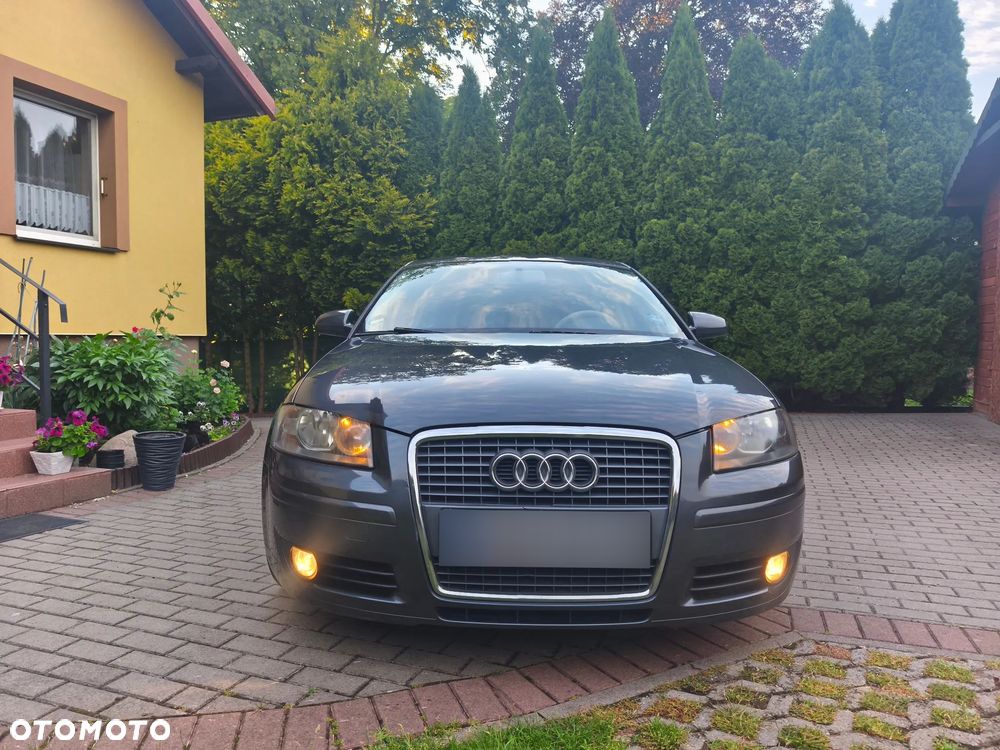 Audi A3 3-drzwiowe 1.6 Ambiente - 2