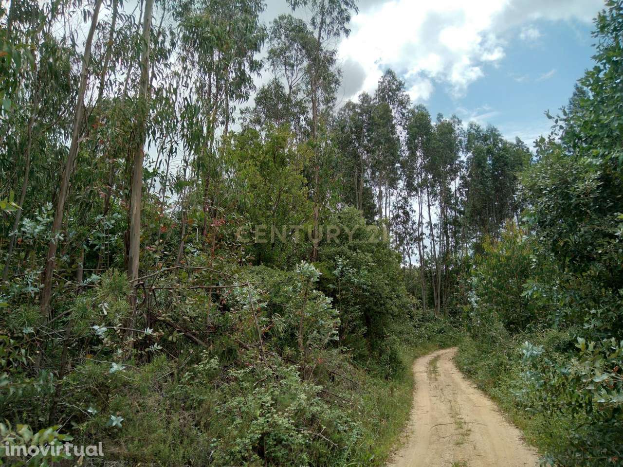 Terreno Rùstico - Grande imagem: 2/7