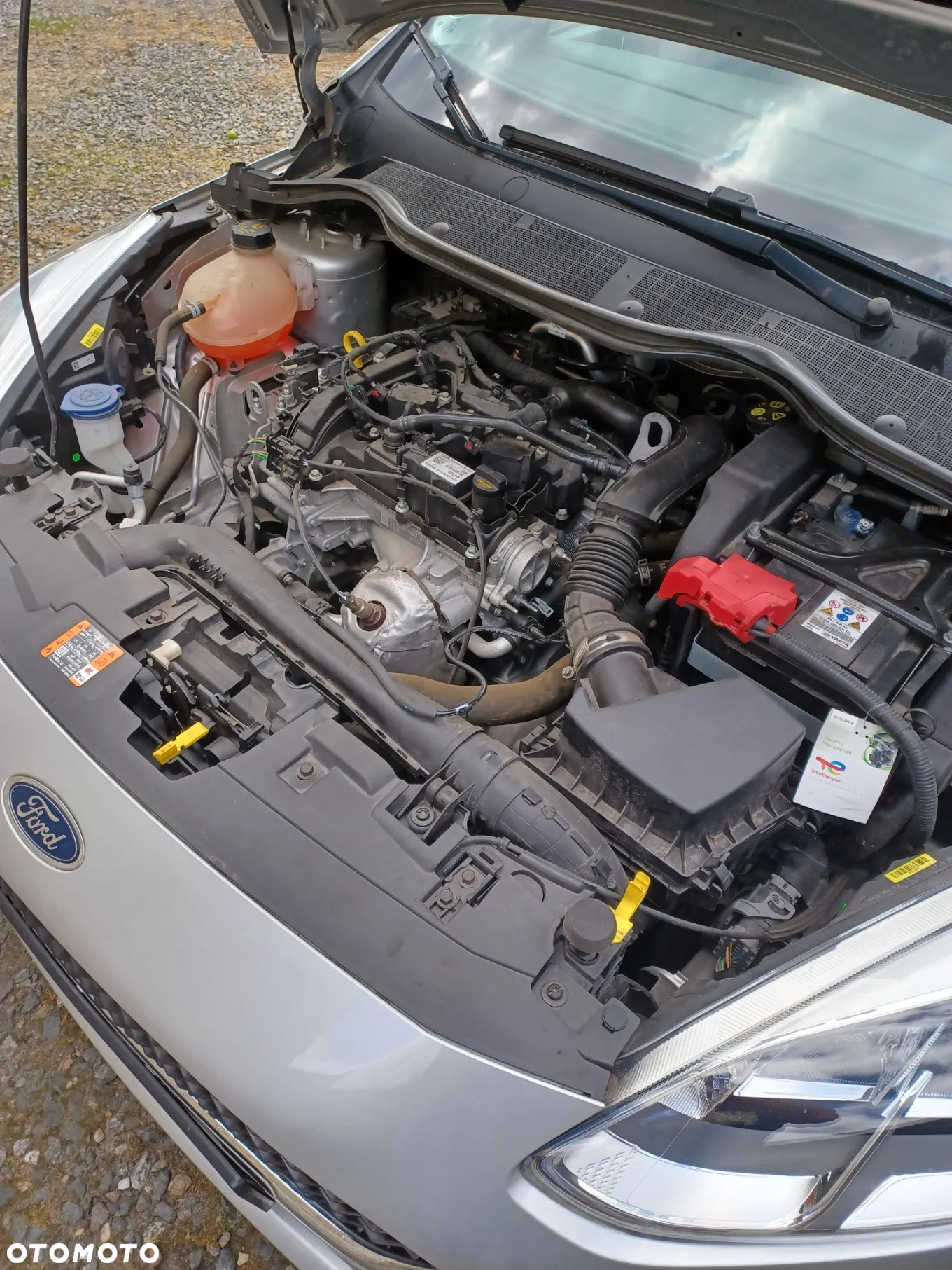 Ford Fiesta - 6