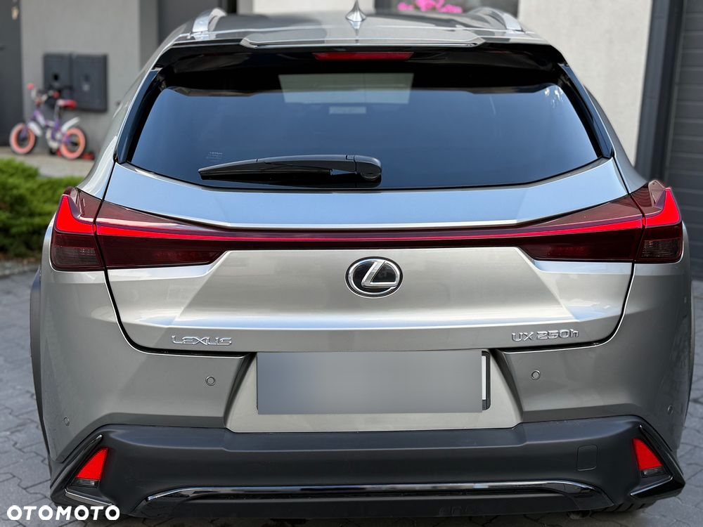 Lexus UX 250h GPF F Sport Design+ 2WD - 18