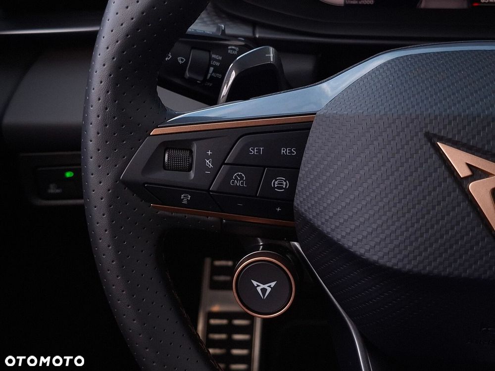 Cupra Terramar - 20