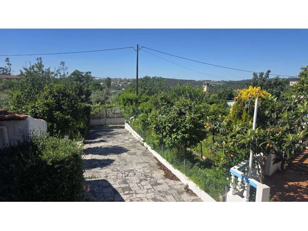 Duas Moradias T3 com Logradouro e garagem - Águas Belas, Ferreira d... - Grande imagem: 2/40