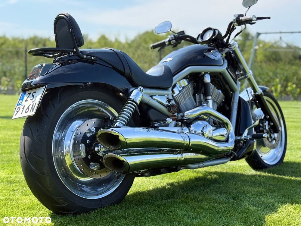 Harley-Davidson V-Rod Night Rod - 6