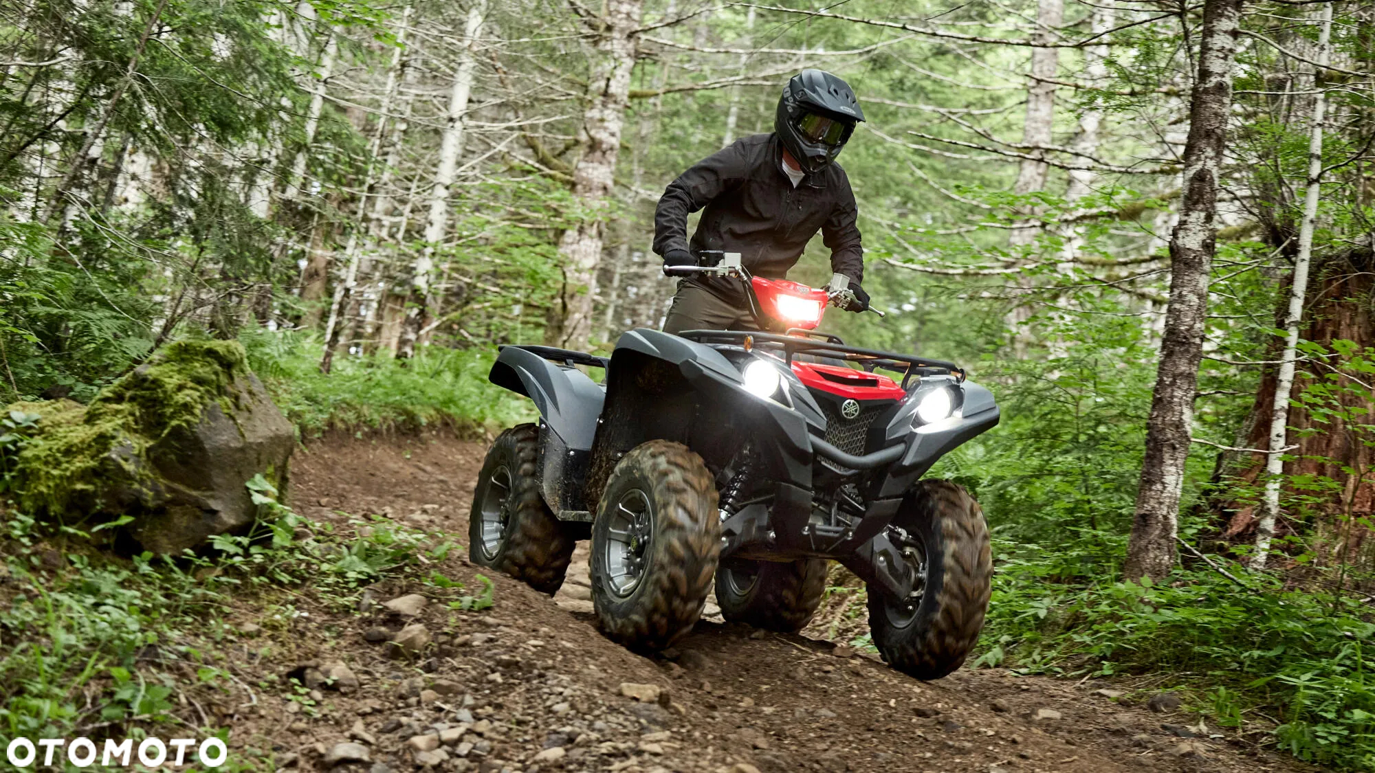 Yamaha Grizzly - 2