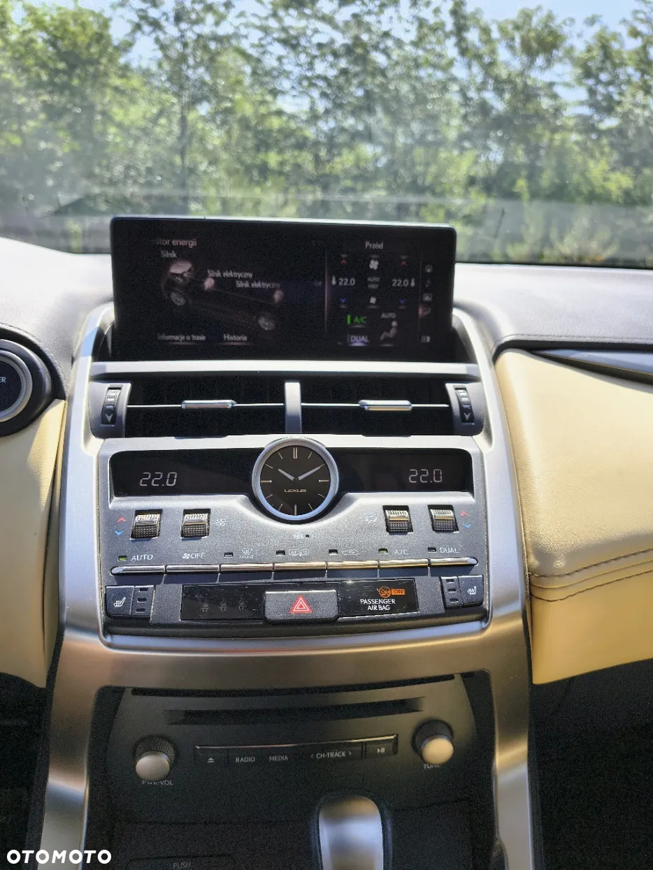 Lexus NX - 18