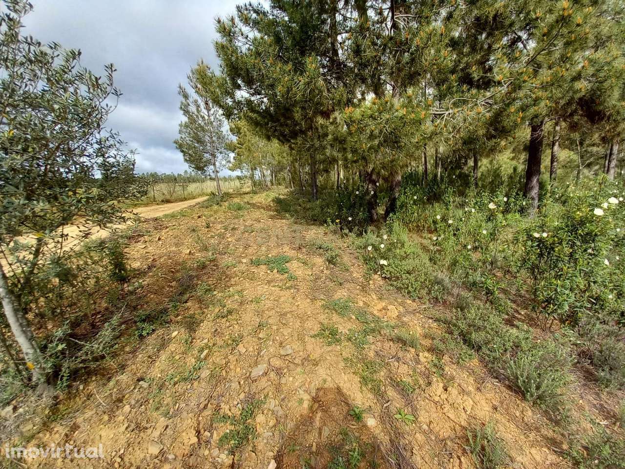 Terreno Rustico Ninho do Açor - Grande imagem: 3/19