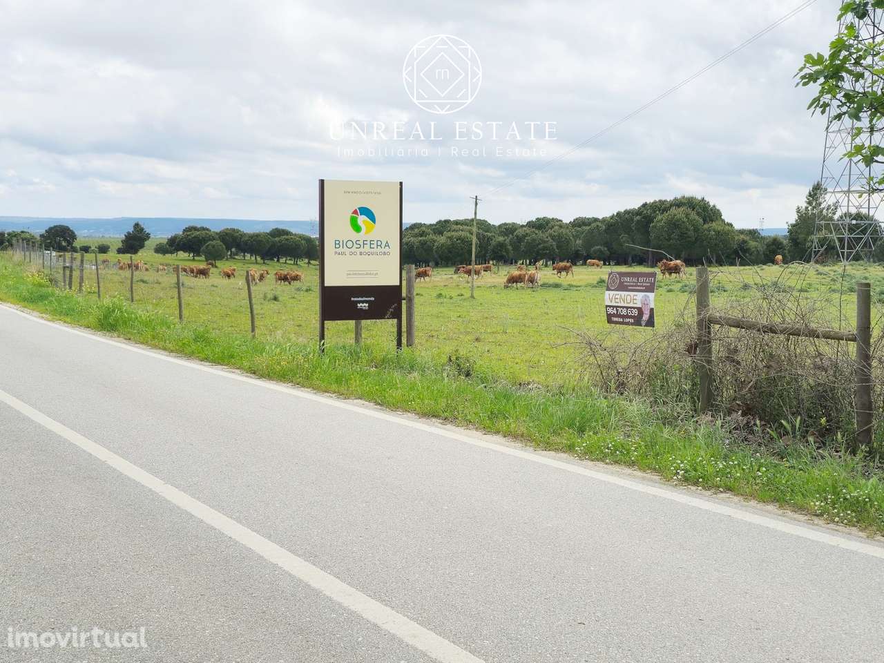 Lote de Terreno  Venda em Brogueira, Parceiros de Igreja e Alcorochel, - Grande imagem: 3/13