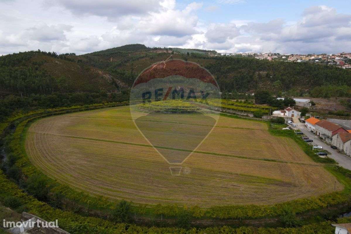 Quinta  para venda - Grande imagem: 4/10