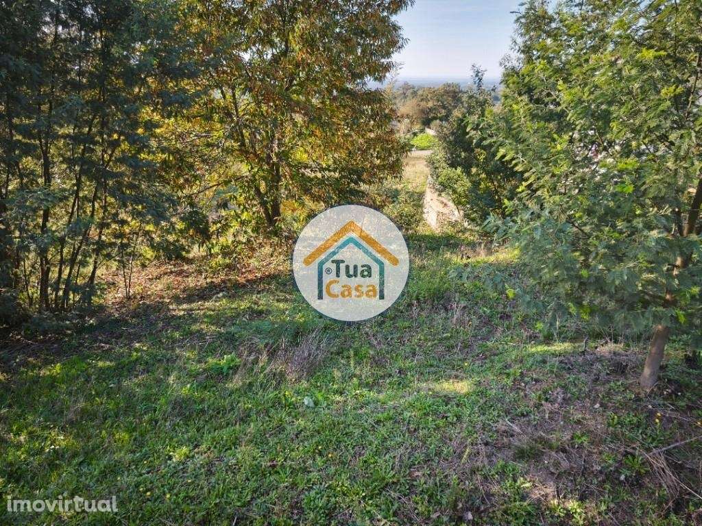 Terreno Urbano à Venda em Alviães - Palmaz, Oliveira de Azeméis - Grande imagem: 3/18