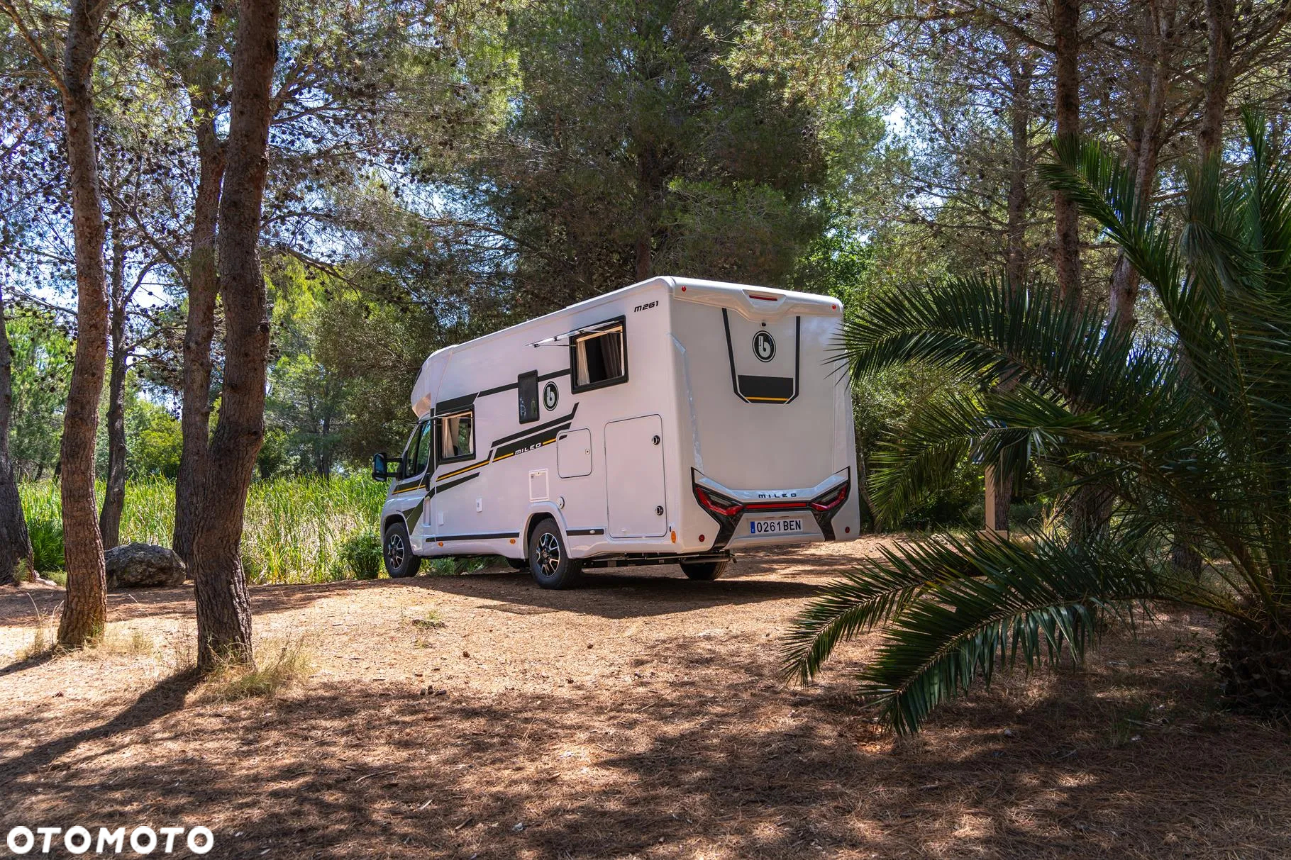 Benimar Mileo 261 - 7