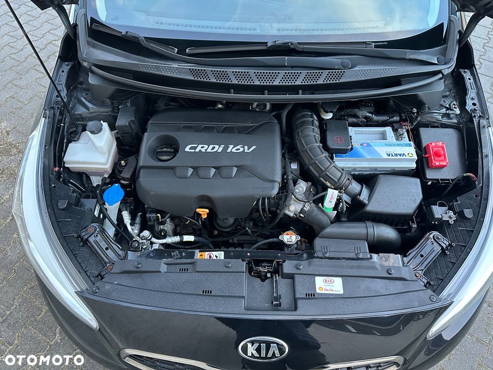 Kia Ceed 1.6 CRDi 128 ISG Dream Team Edition - 17