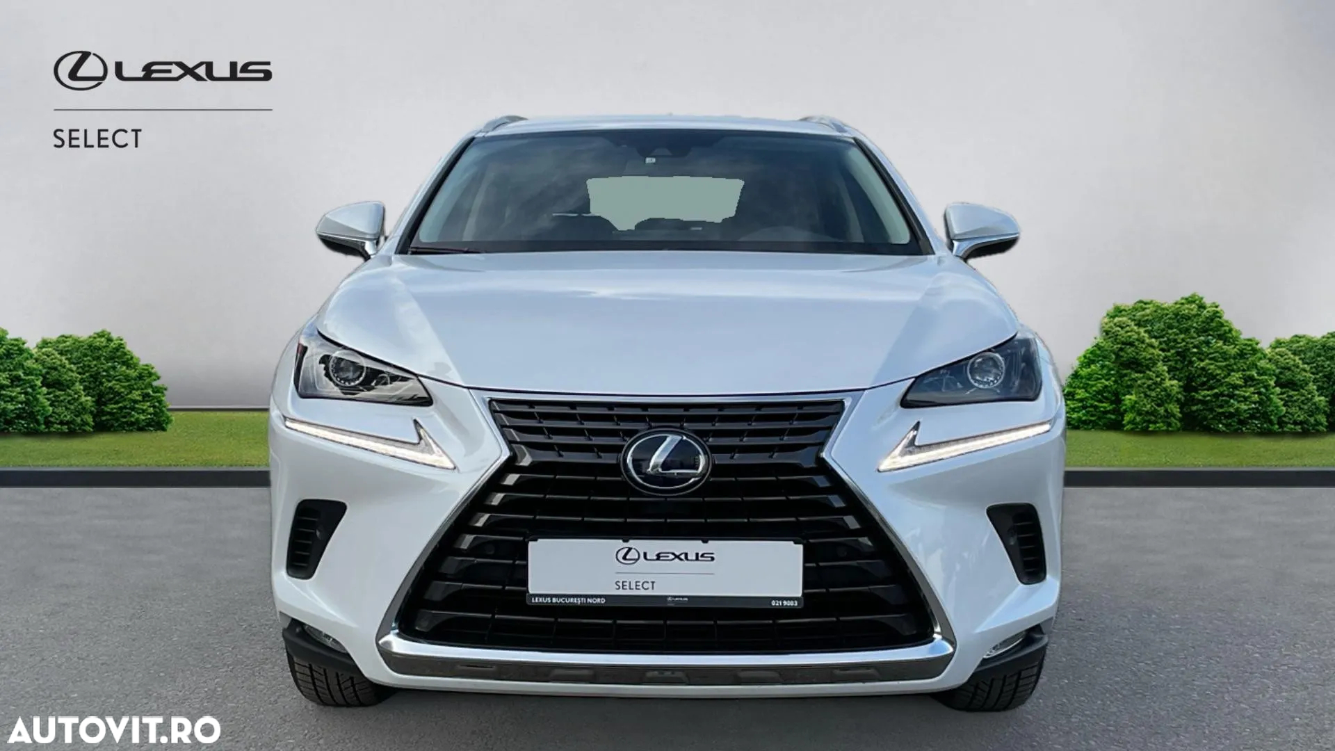 Lexus Seria NX 300h AWD Executive Plus - 3