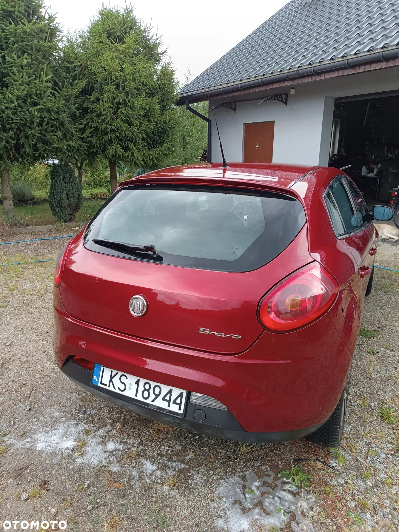 Fiat Bravo - 7