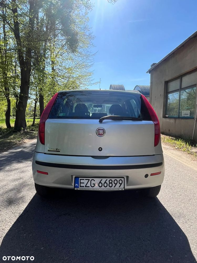 Fiat Punto - 6