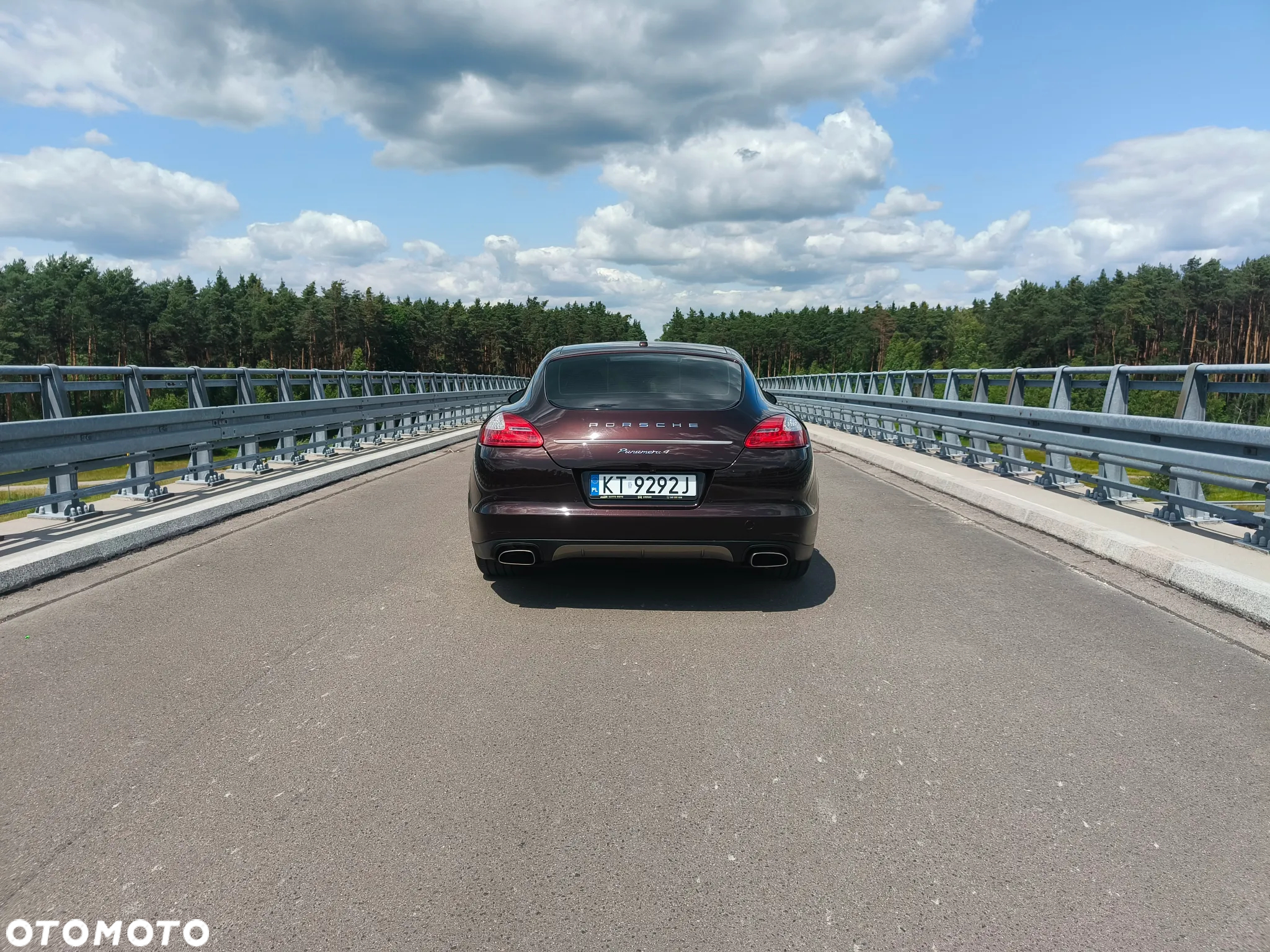 Porsche Panamera 4 PDK Platinum Edition - 10