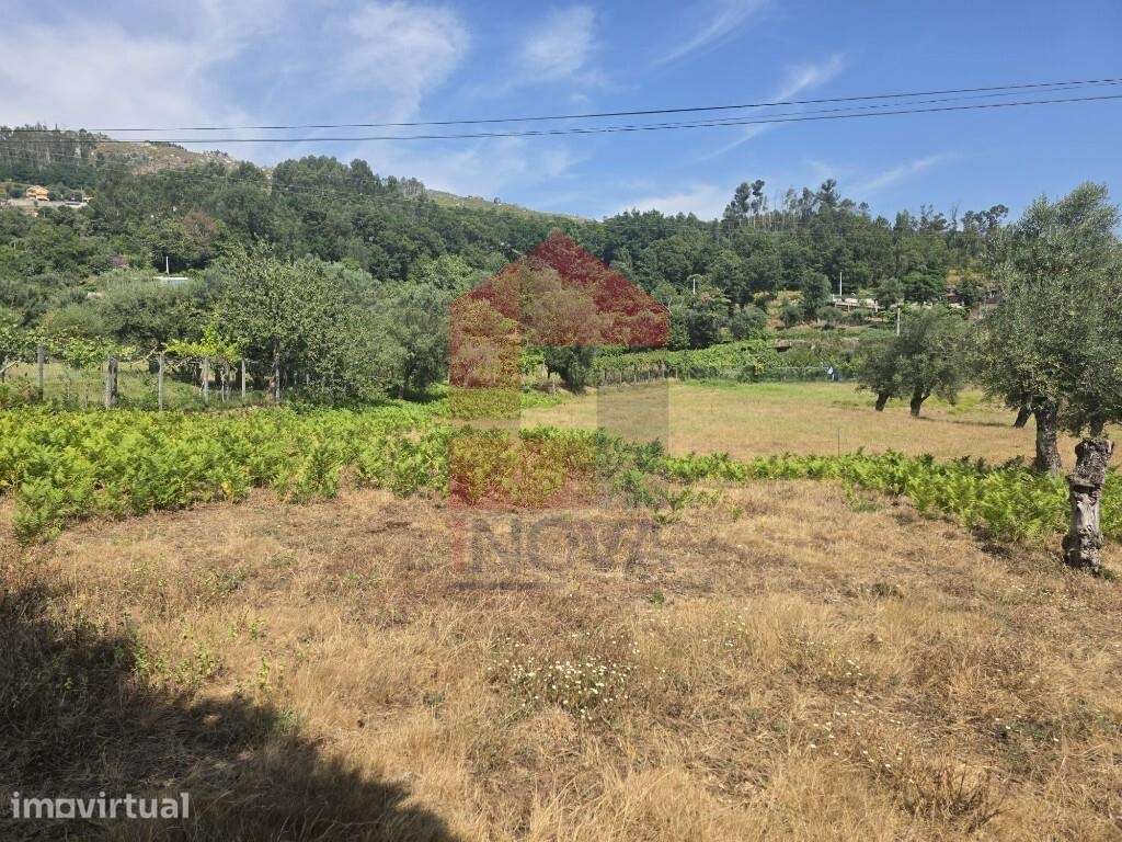 Terreno em Anais, Ponte de Lima - Grande imagem: 2/23