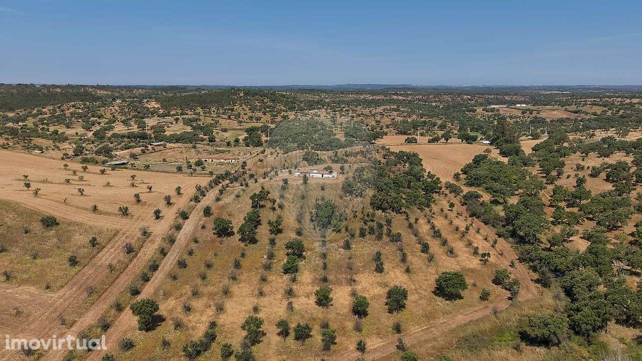 Quinta  para venda - Grande imagem: 4/20