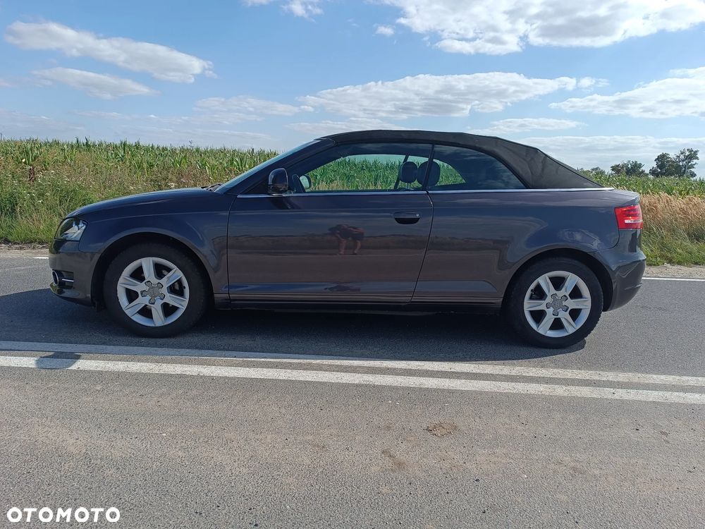 Audi A3 Cabrio 1.9 TDI DPF Ambition - 17