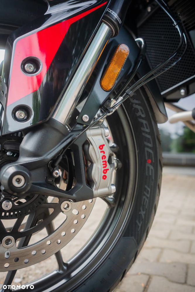 Triumph Tiger - 14