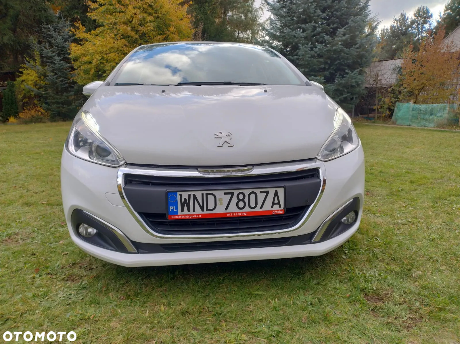 Renault Clio - 11