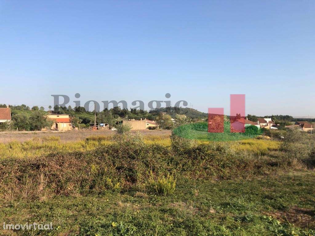 Terreno com Viabilidade de Construção Tagarro-Alcoentre***RIOMAGIC*** - Grande imagem: 4/13
