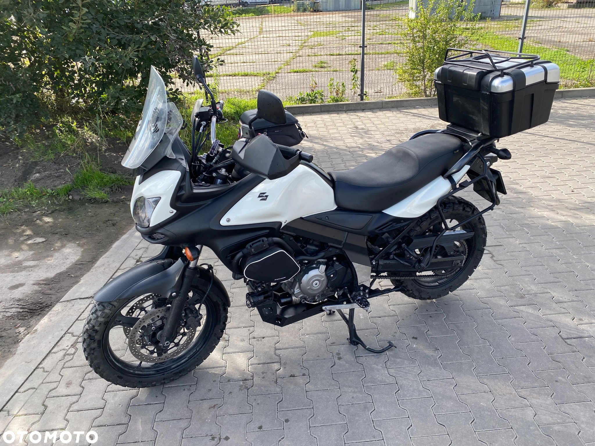 Suzuki DL - 8