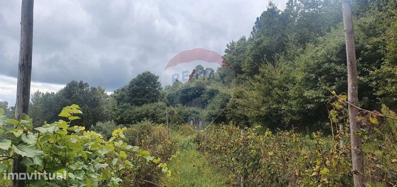 Terreno  para venda - Grande imagem: 3/4