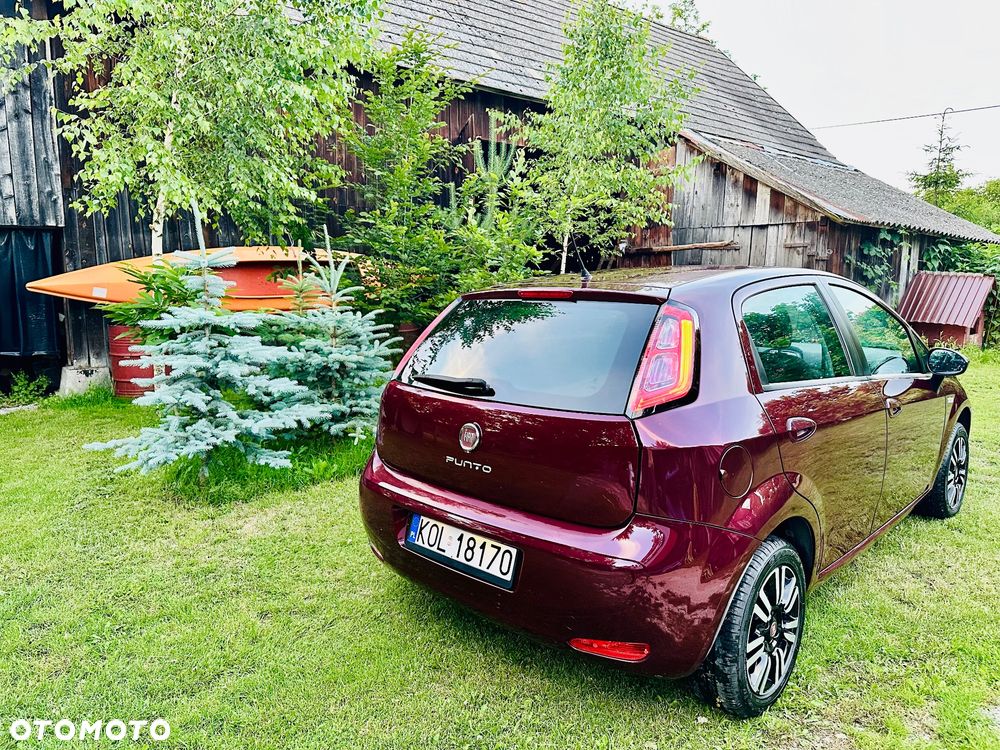 Fiat Punto - 12