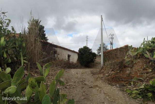 MONTE BRANCO DA VINHA COM POSSIBILIDADE DE CONSTRUÇÃO - SANTANA DA SER - Grande imagem: 3/14