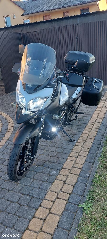 Suzuki DL - 21