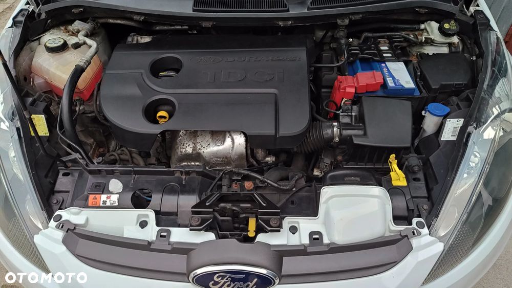 Ford Fiesta 1.4 TDCi Champions Edition - 14