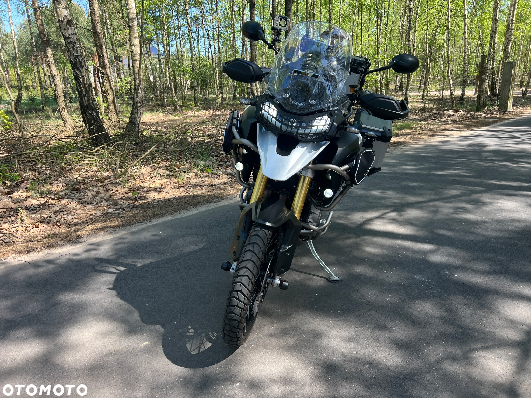 Triumph Tiger - 3