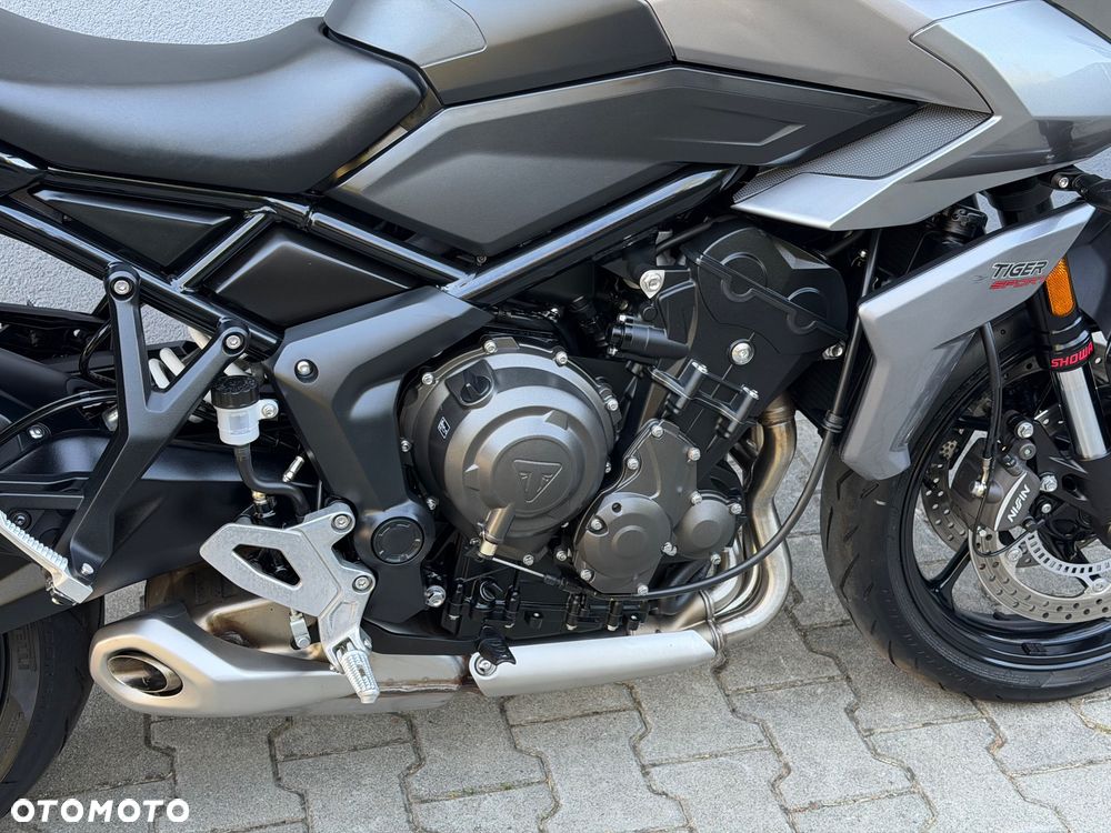 Triumph Tiger - 17