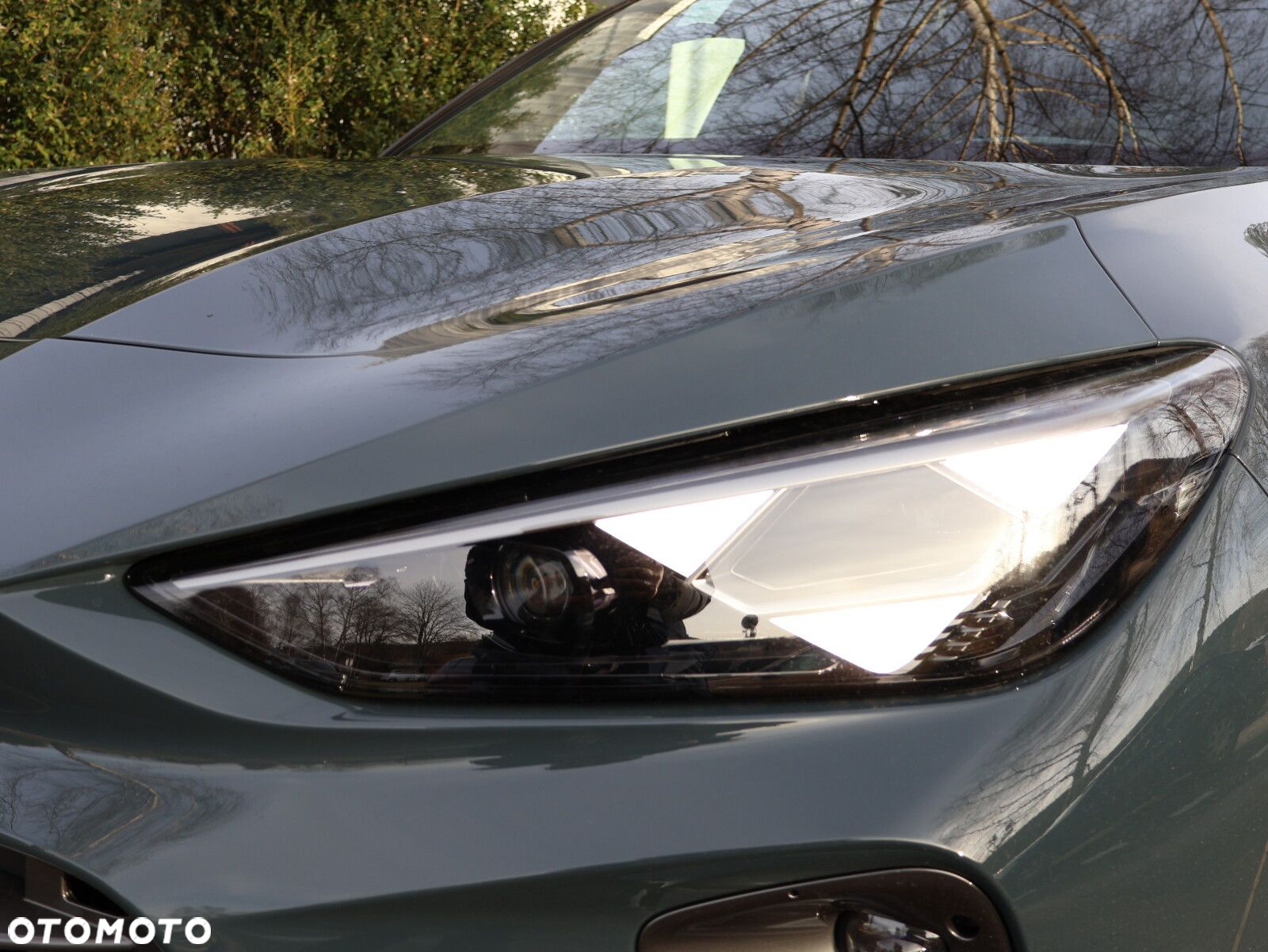 Cupra Terramar 1.5 eTSI mHEV DSG - 5