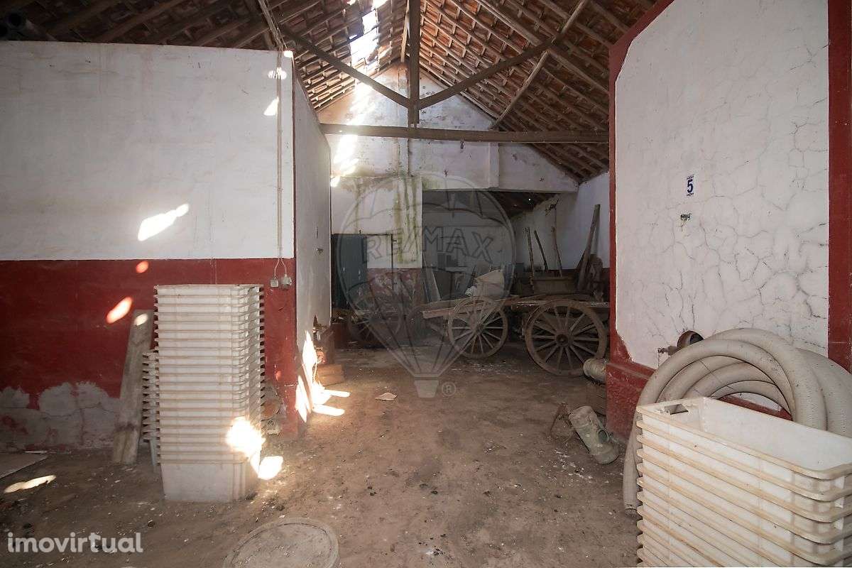 Armazém  para venda - Grande imagem: 4/8